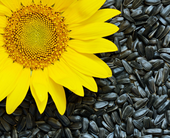 微信截圖_20230914171909