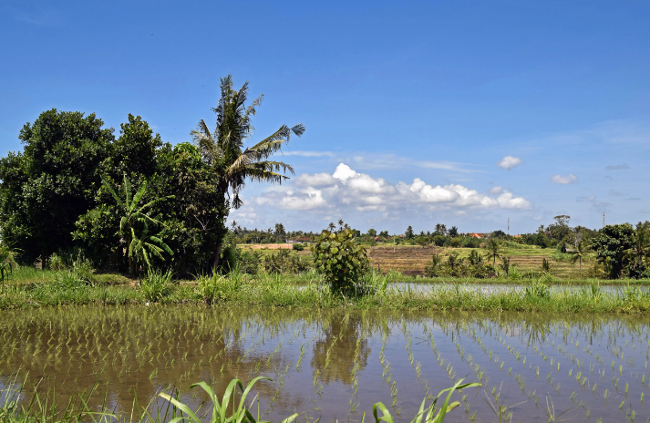 微信截圖_20230420110156