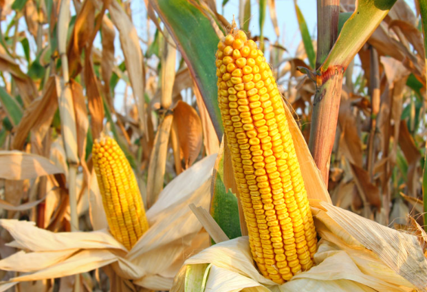 微信圖片_2026-02-26_164220_826 微信圖片_2026-02-26_164220_826