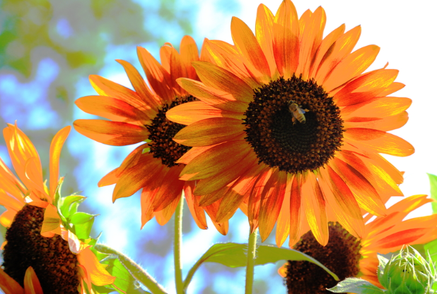 微信圖片_2026-02-26_180520_285 微信圖片_2026-02-26_180520_285