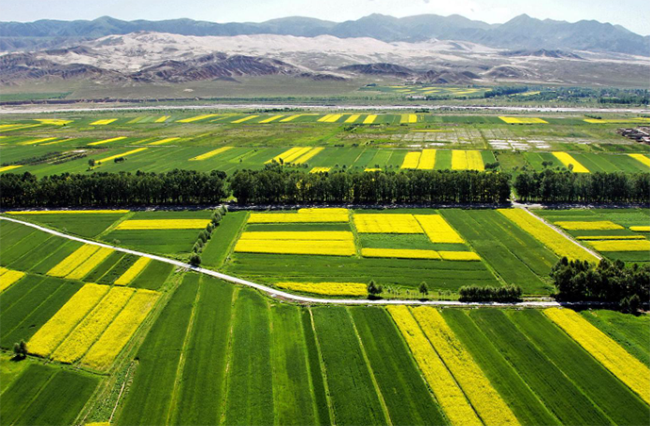 微信圖片_2026-02-26_180625_790 微信圖片_2026-02-26_180625_790